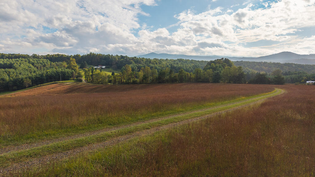 519 Roberson Mill Road Southeast Floyd, VA 24091 - Photo 66 of 79 a view of an outdoor space with mountain view