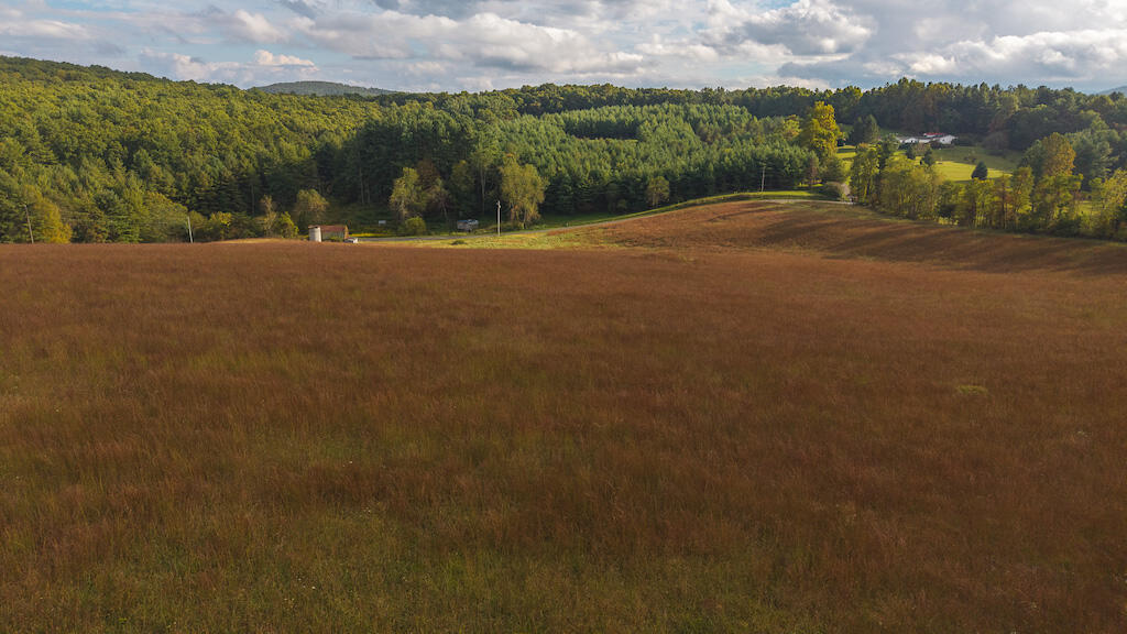 519 Roberson Mill Road Southeast Floyd, VA 24091 - Photo 67 of 79 DJI_20250925172052_0388_D copy