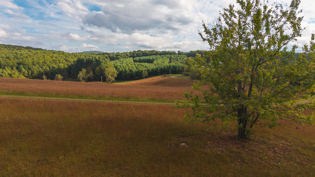 519 Roberson Mill Road Southeast Floyd, VA 24091 - Photo 68 of 79 a view of a green field with wooden fence