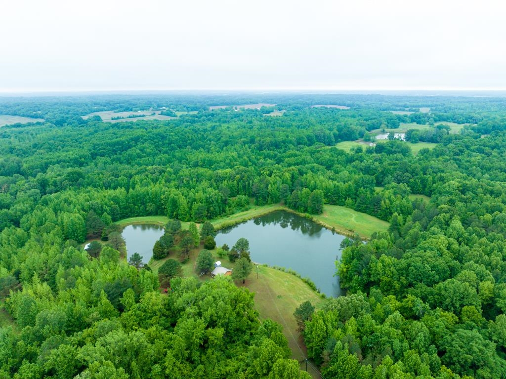 0 Poplar Grove Cemetery Road Henning, TN 38041 - Photo 27 of 40 Expansive wooded acreage featuring two private ponds and surrounding open land