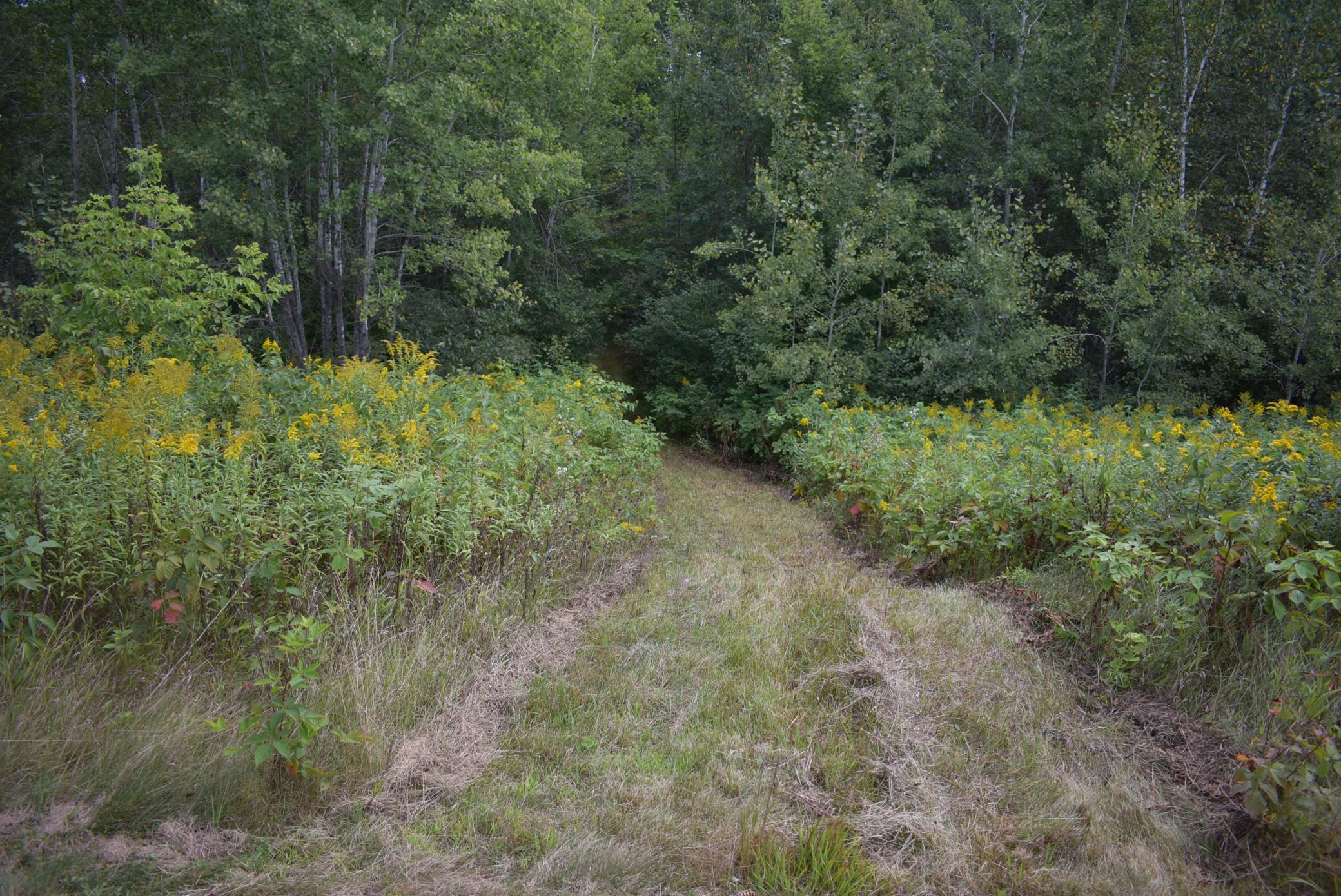 N8339 Champion Road Trego, WI 54888 - Photo 14 of 61 Gallery Image 14