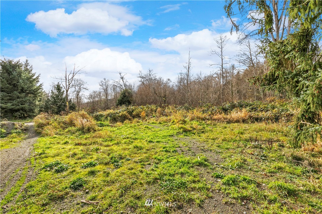 140 Store Road Port Townsend, WA 98368 - Photo 16 of 20 Gallery Image 16