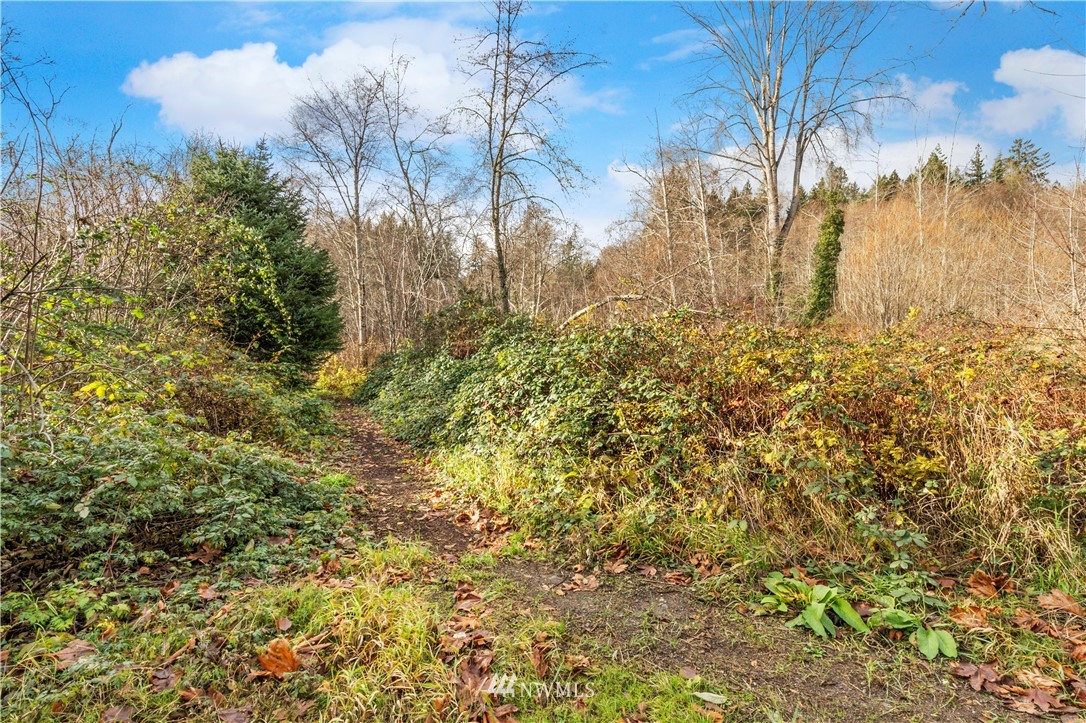 140 Store Road Port Townsend, WA 98368 - Photo 20 of 20 Gallery Image 20