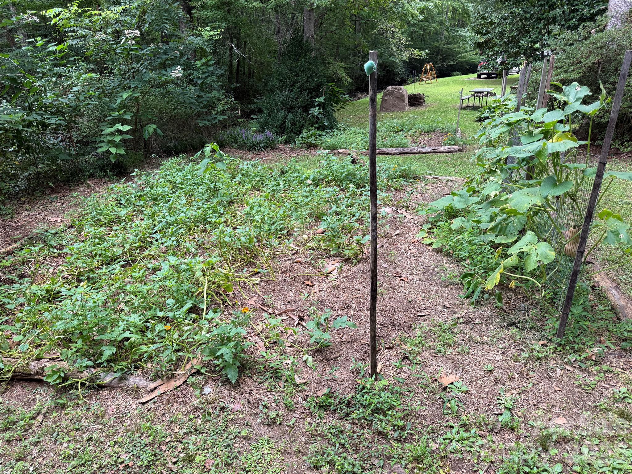 1921 Longbottom Road McGrady, NC 28649 - Photo 18 of 23 Gallery Image 18