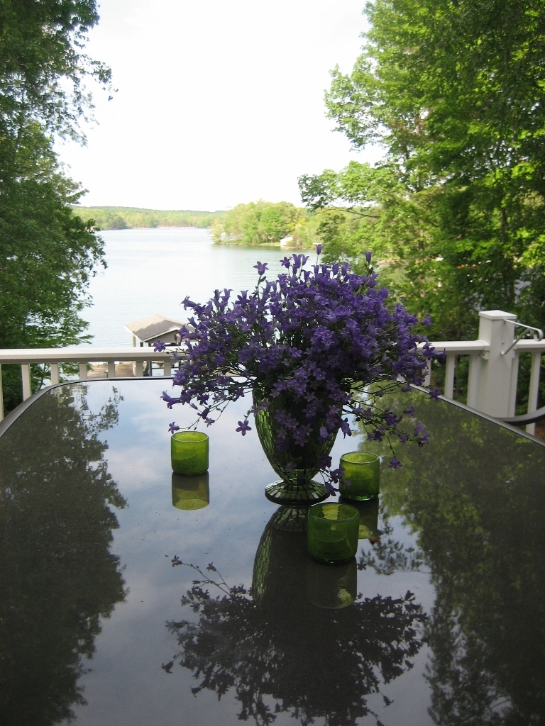 2011 Merriman Way Road Moneta, VA 24121 - Photo 31 of 48 Summer Deck View