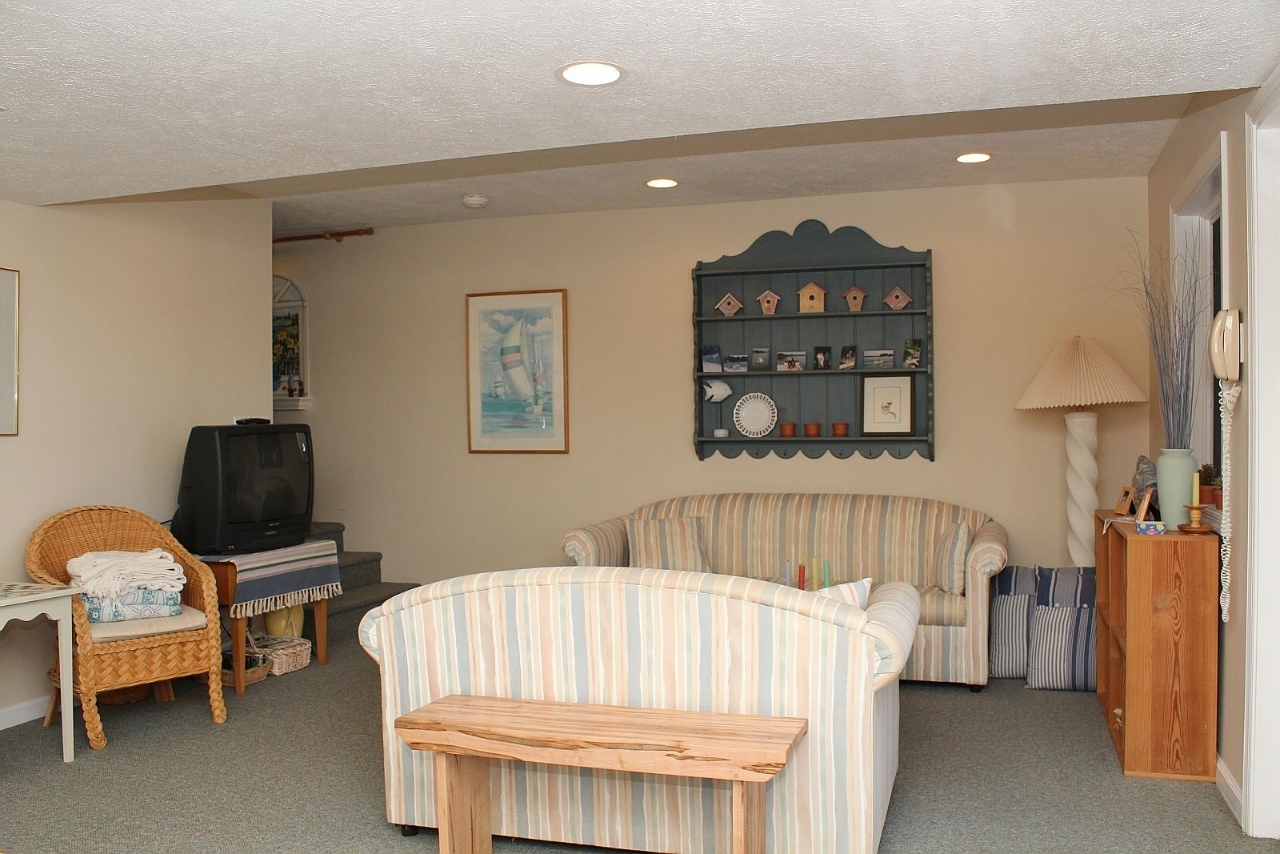 2011 Merriman Way Road Moneta, VA 24121 - Photo 38 of 48 Lower Level Great Room