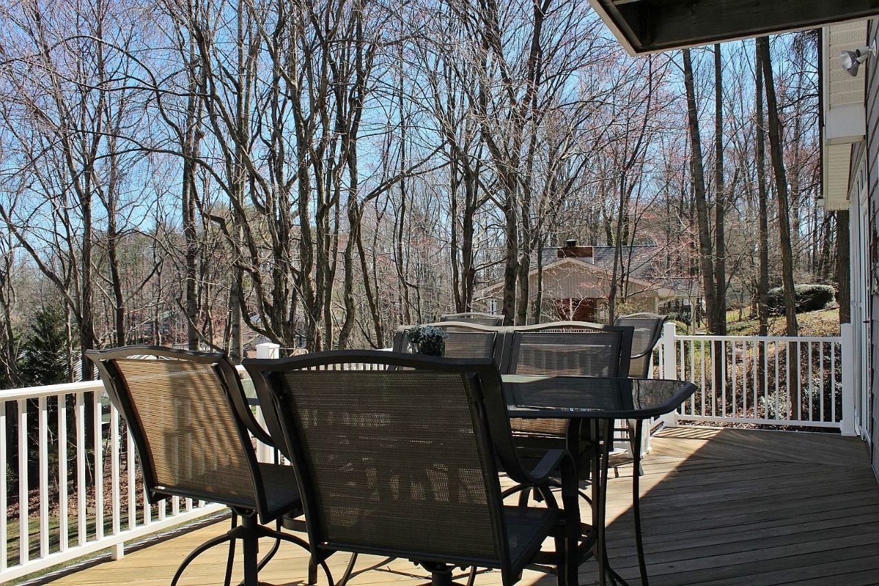 2011 Merriman Way Road Moneta, VA 24121 - Photo 43 of 48 Deck Main Level