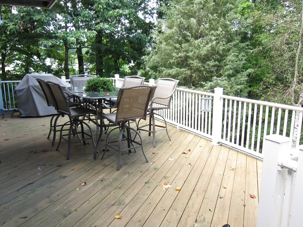 2011 Merriman Way Road Moneta, VA 24121 - Photo 44 of 48 Summer Upper Deck