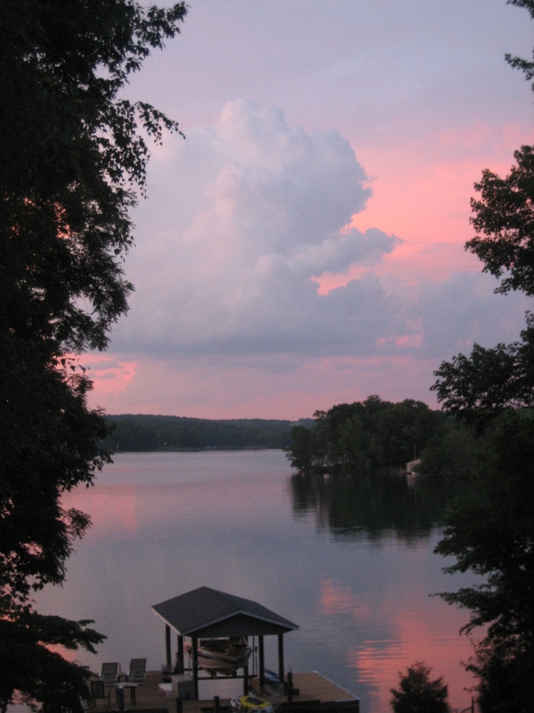 2011 Merriman Way Road Moneta, VA 24121 - Photo 9 of 48 Summer Sky View