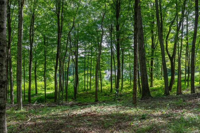 a view of outdoor space and green space