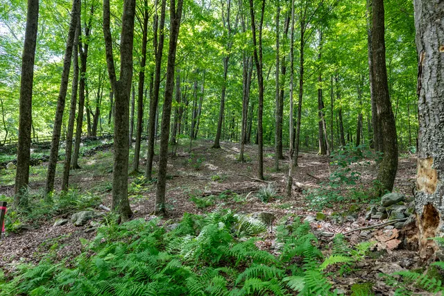 a view of outdoor space and green space