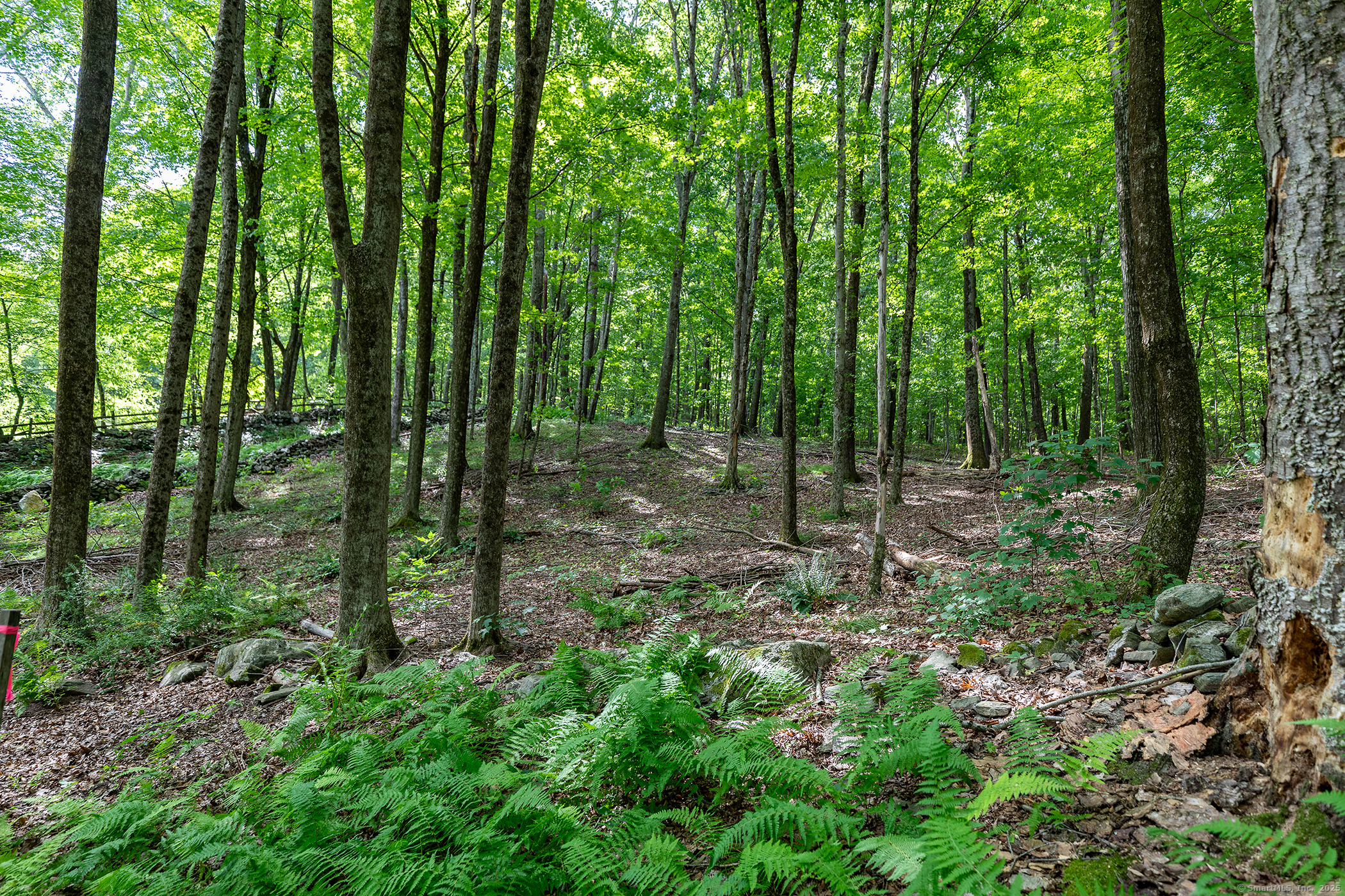 31 Holmes Road Roxbury, CT 06783 - Photo 6 of 10 a view of outdoor space and green space