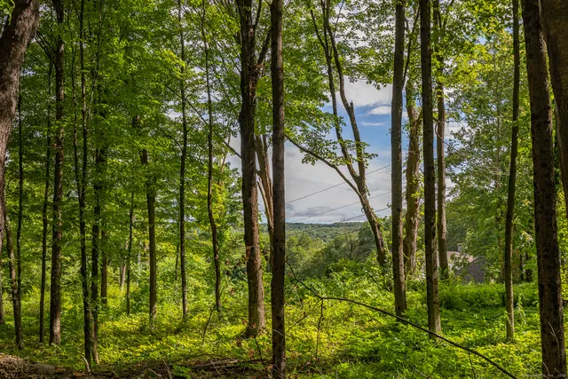 a view of outdoor space with trees