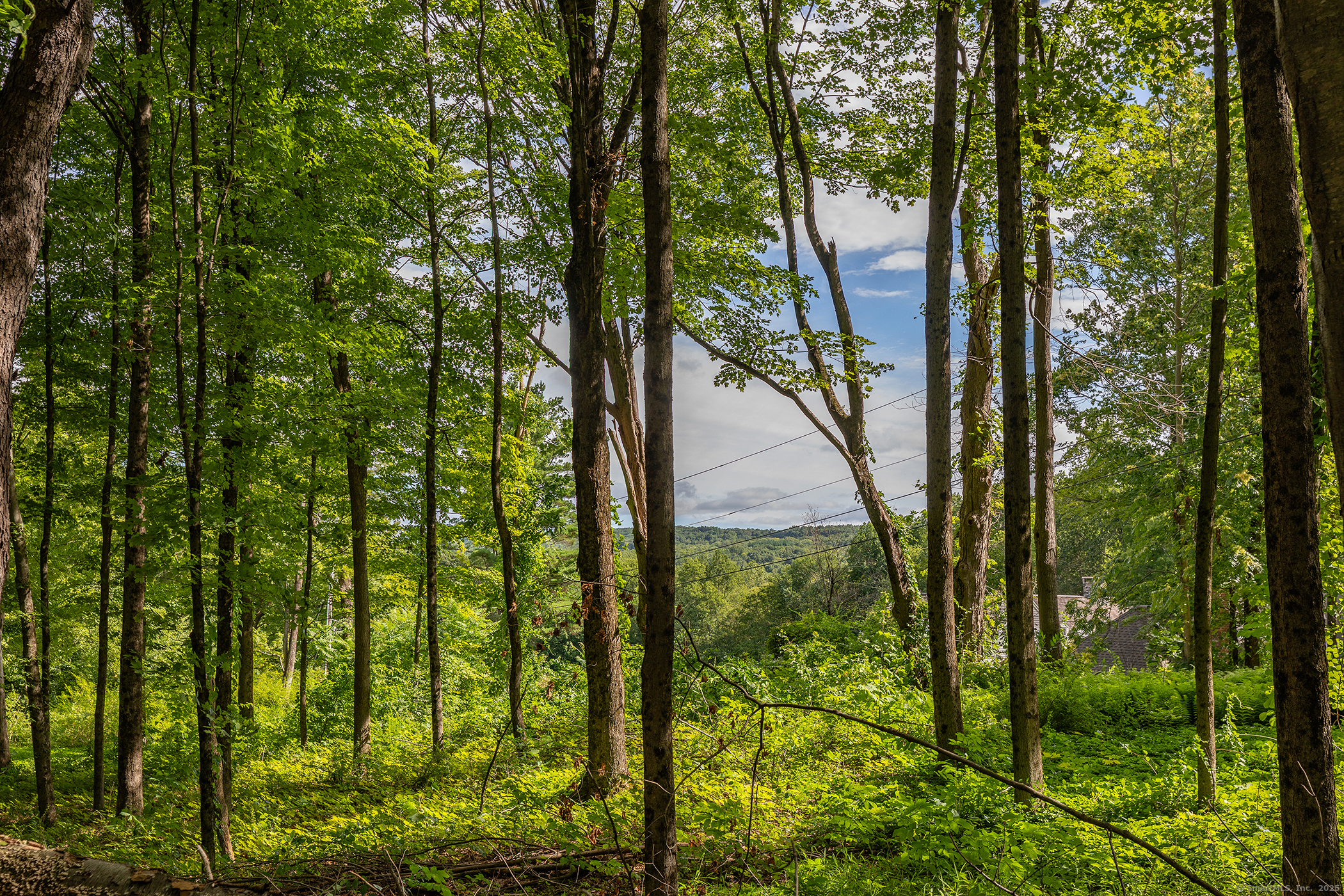 31 Holmes Road Roxbury, CT 06783 - Photo 7 of 10