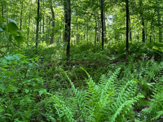 $450,000 | 31 Holmes Road, Roxbury, CT 06783