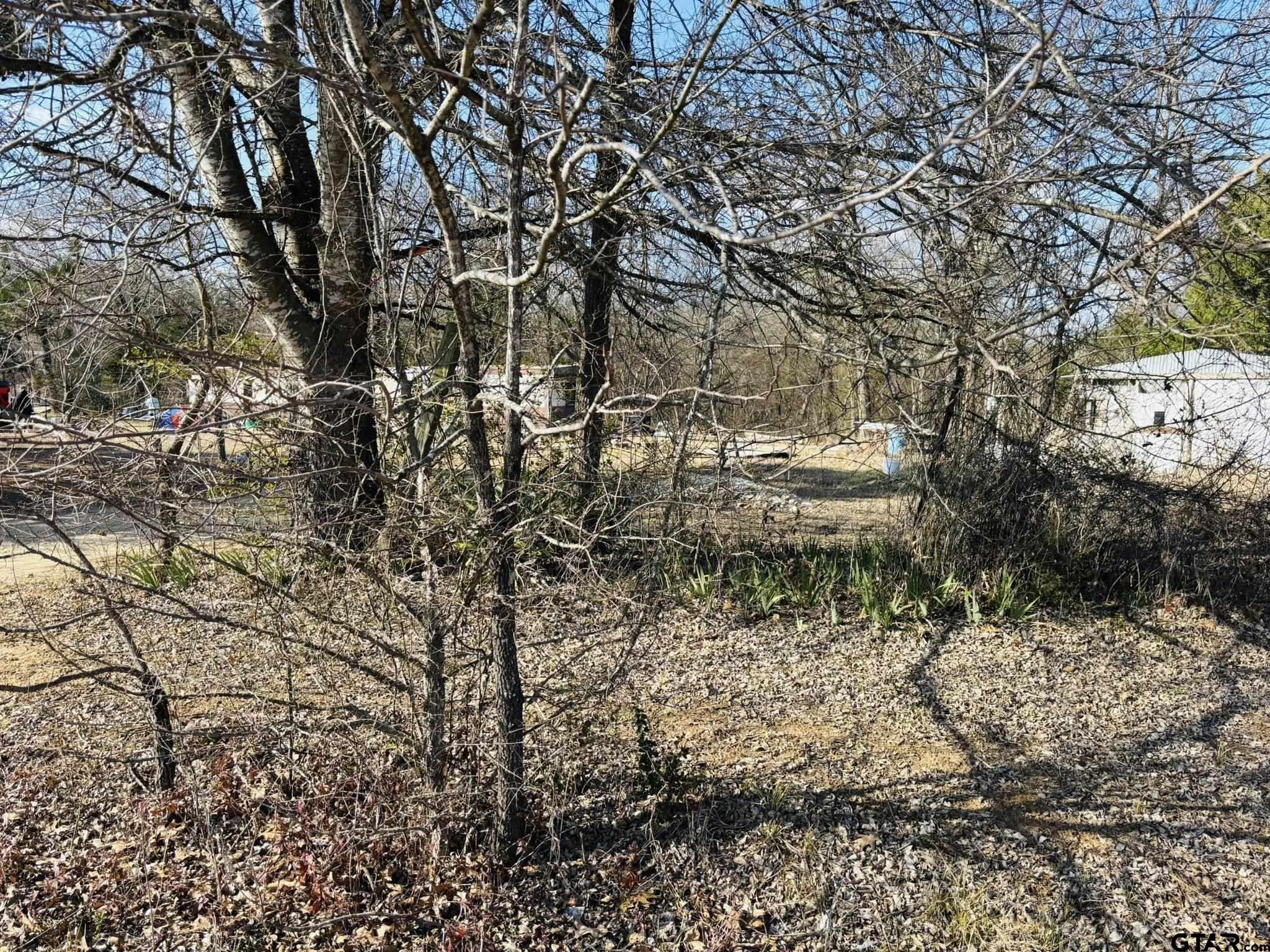 230 Rs County Road 4252 Point, TX 75472 - Photo 11 of 13