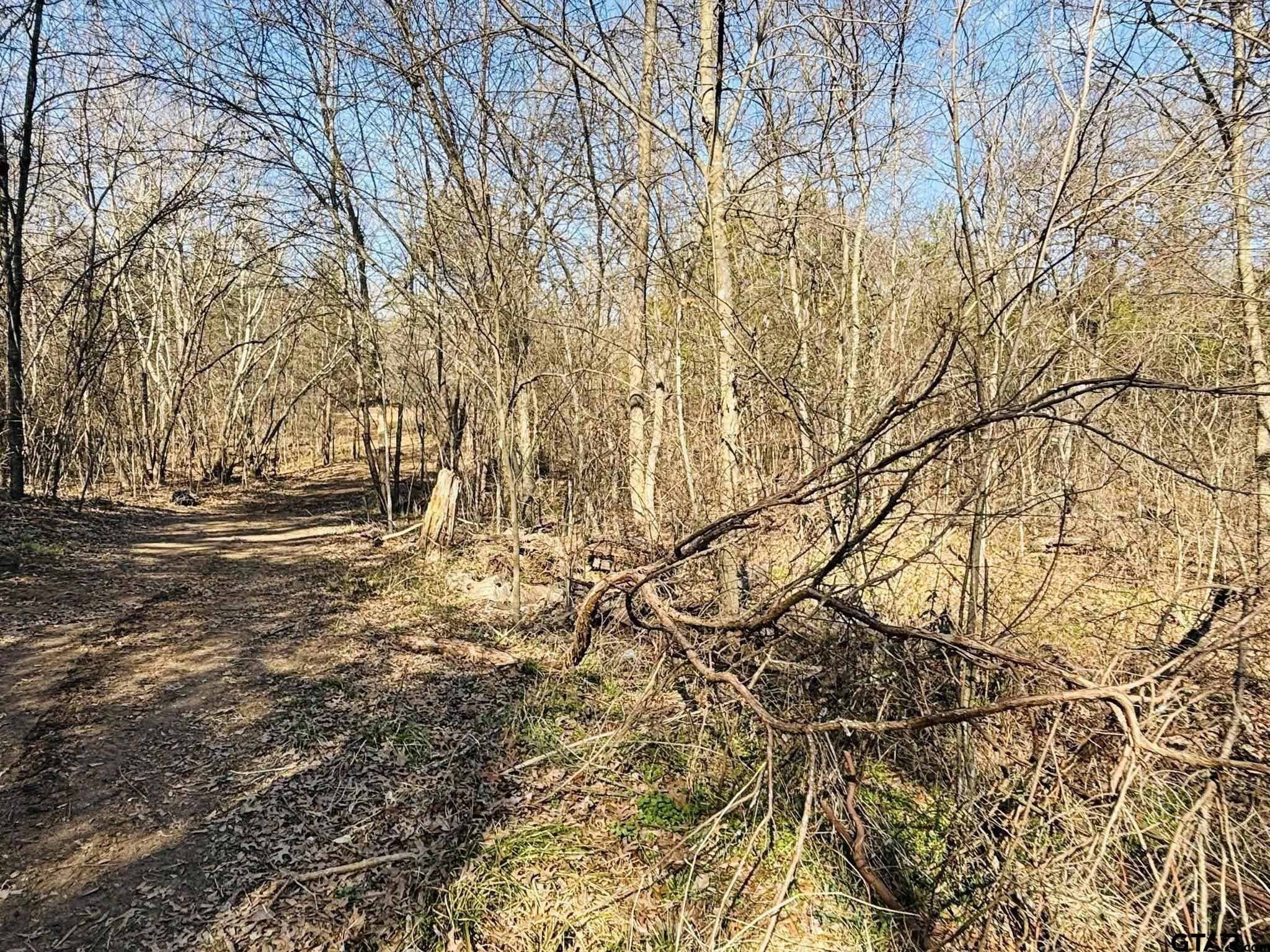 230 Rs County Road 4252 Point, TX 75472 - Photo 12 of 13