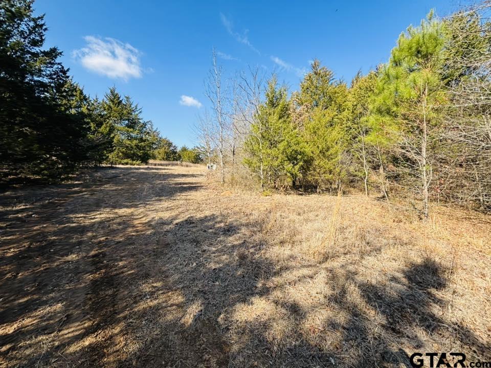 230 Rs County Road 4252 Point, TX 75472 - Photo 13 of 13