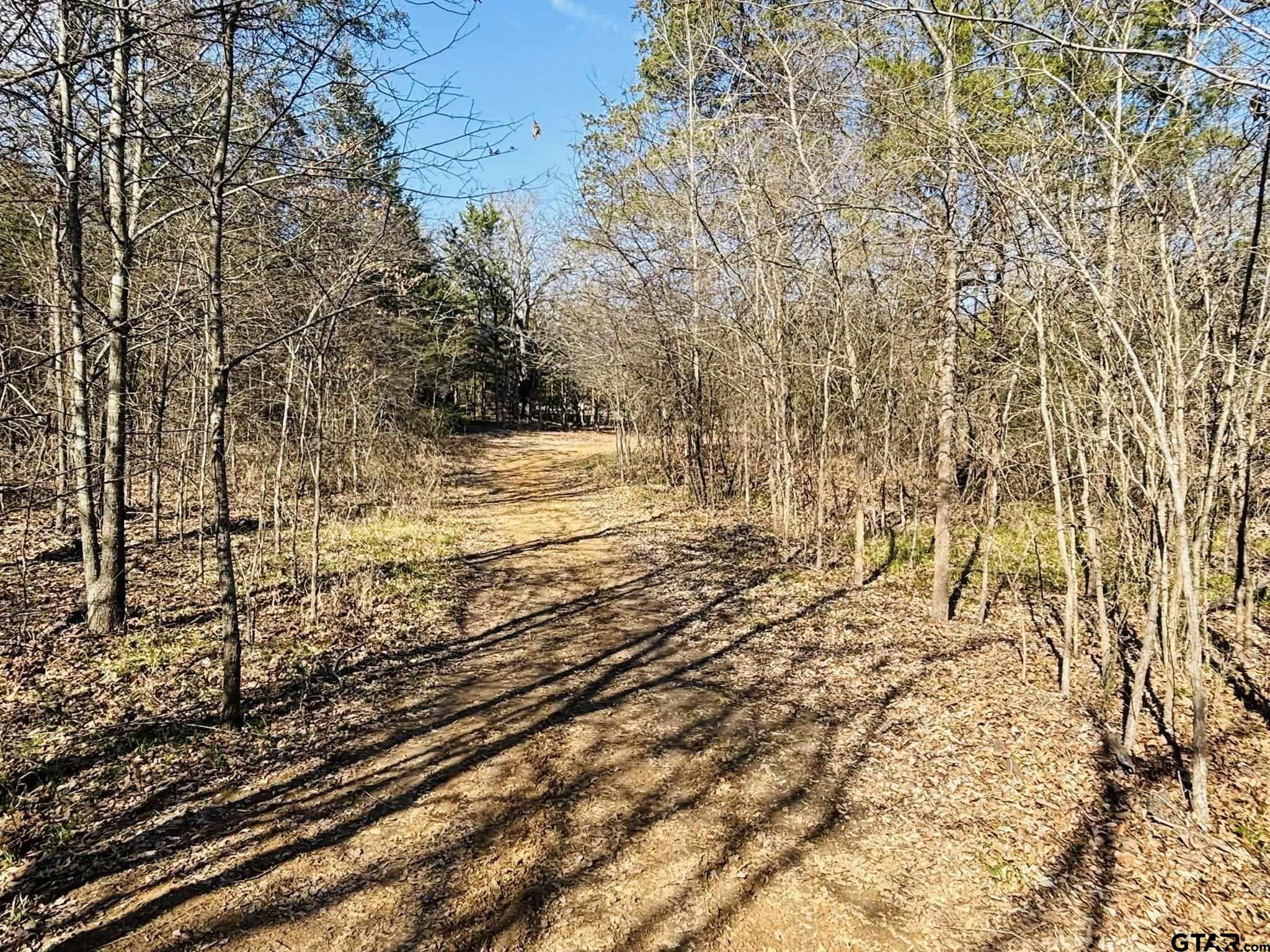 230 Rs County Road 4252 Point, TX 75472 - Photo 2 of 13