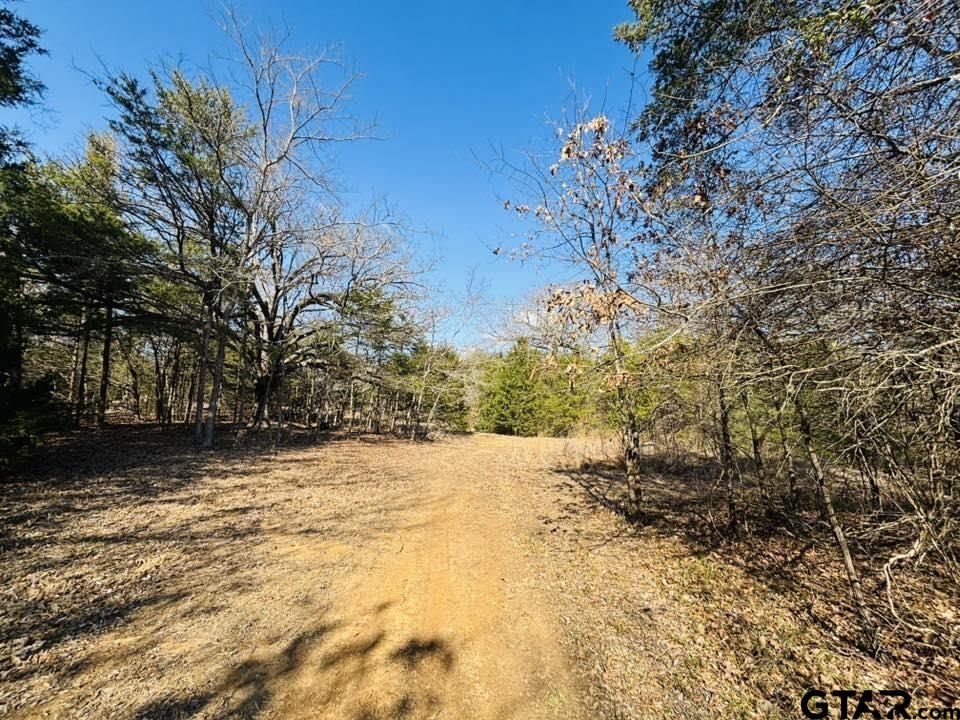 230 Rs County Road 4252 Point, TX 75472 - Photo 3 of 13