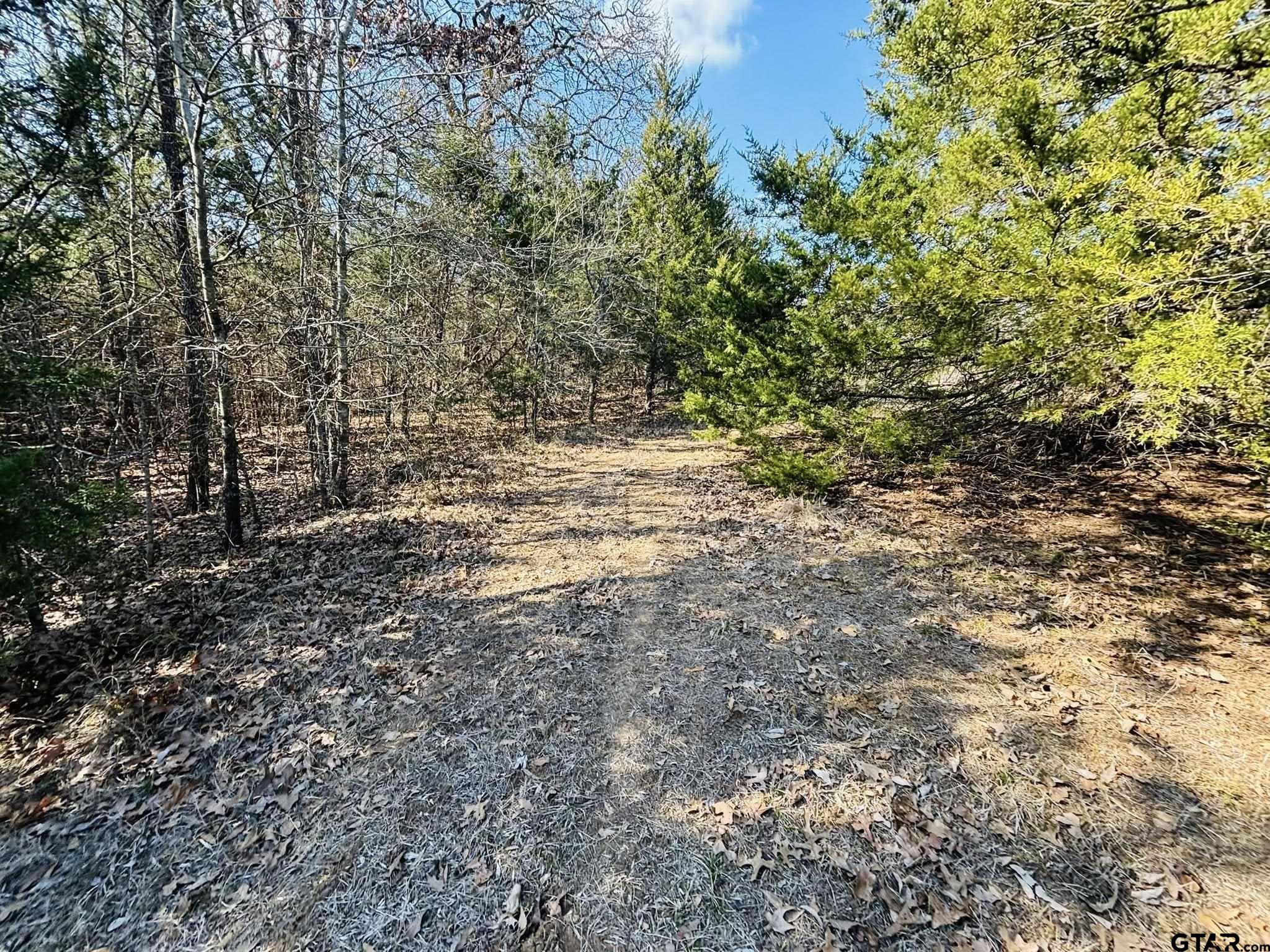 230 Rs County Road 4252 Point, TX 75472 - Photo 4 of 13