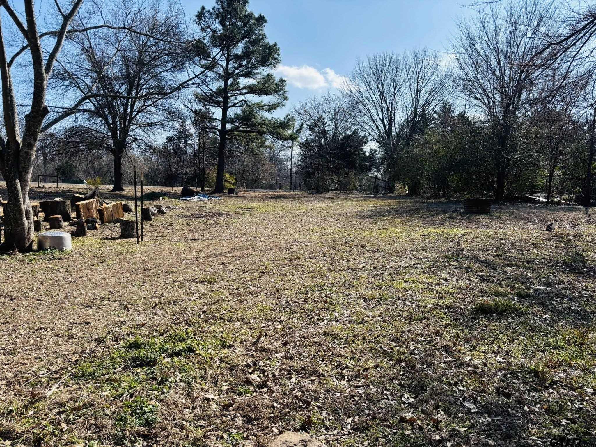 230 Rs County Road 4252 Point, TX 75472 - Photo 7 of 13