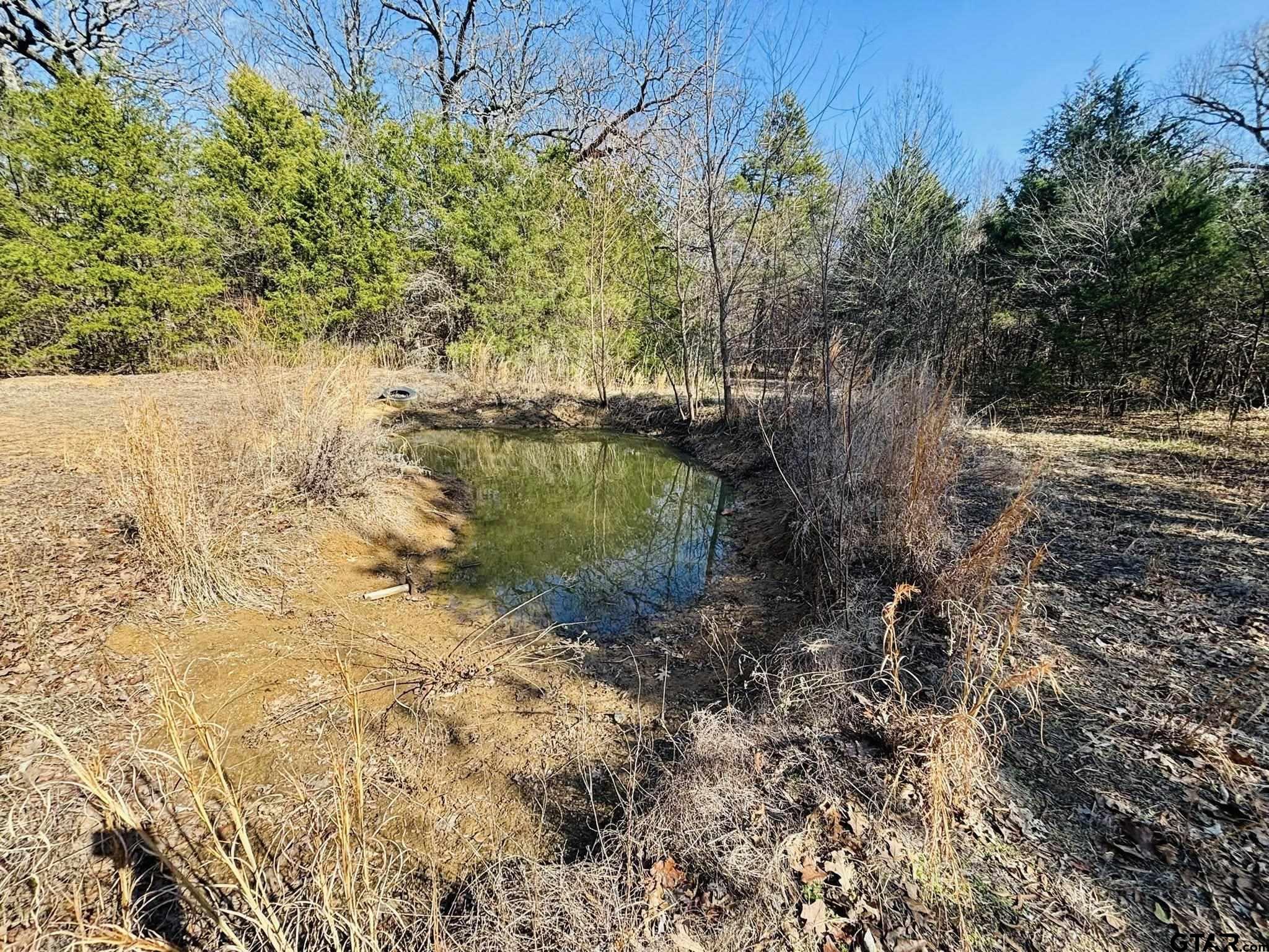 230 Rs County Road 4252 Point, TX 75472 - Photo 9 of 13