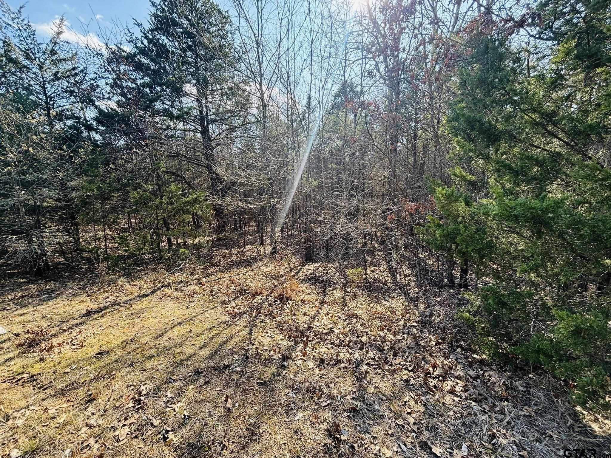 230 Rs County Road 4252 Point, TX 75472 - Photo 10 of 13