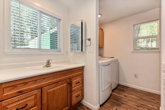 a view of a yard with plants and trees