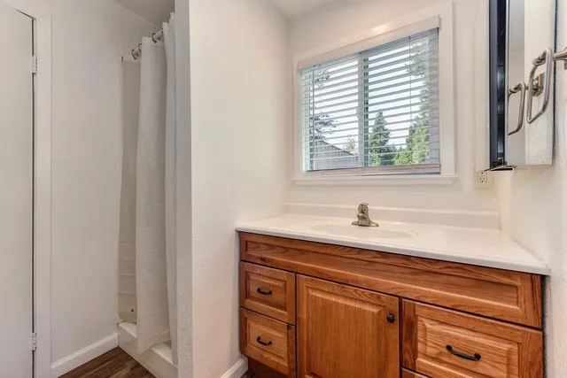 a view of a forest with trees in the background