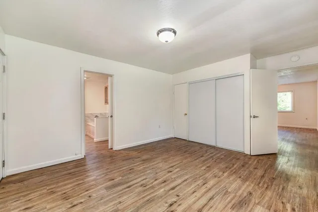 a view of a yard with plants and trees