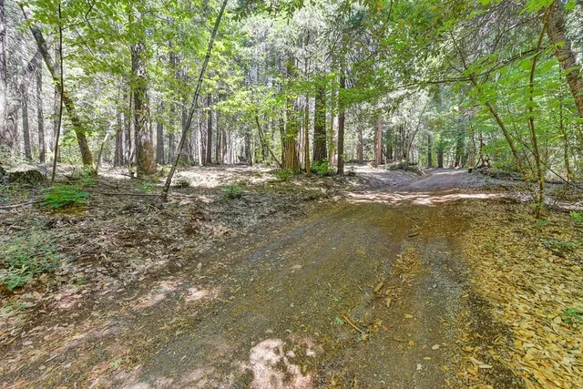 $990,000 | 6960 Blackhawk Lane, Foresthill, CA 95631