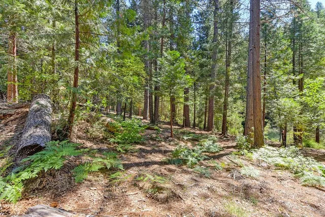 $990,000 | 6960 Blackhawk Lane, Foresthill, CA 95631