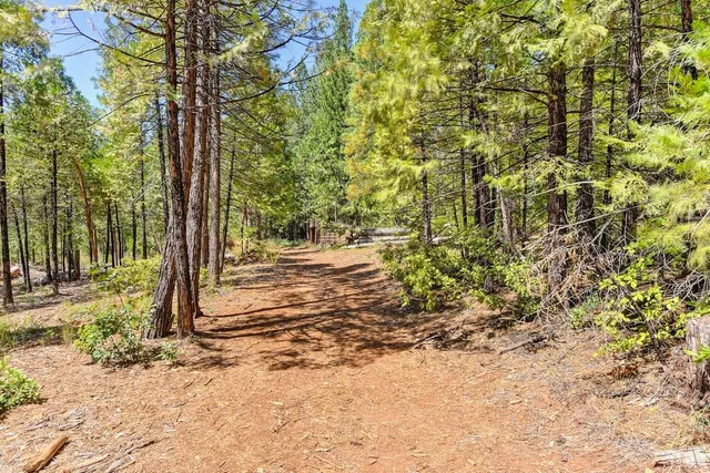 $990,000 | 6960 Blackhawk Lane, Foresthill, CA 95631