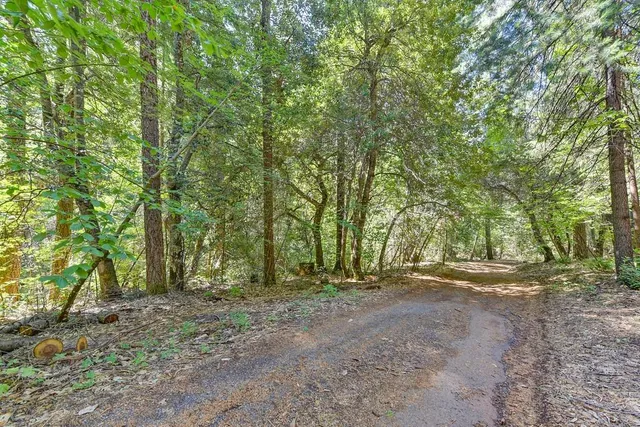 $990,000 | 6960 Blackhawk Lane, Foresthill, CA 95631