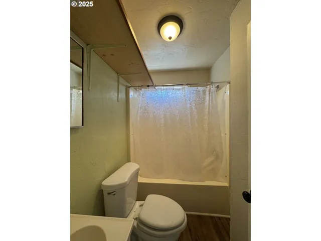 a white toilet sitting next to a shower curtain