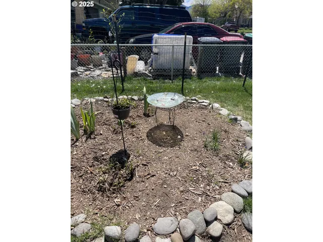 a view of a backyard with plants and patio