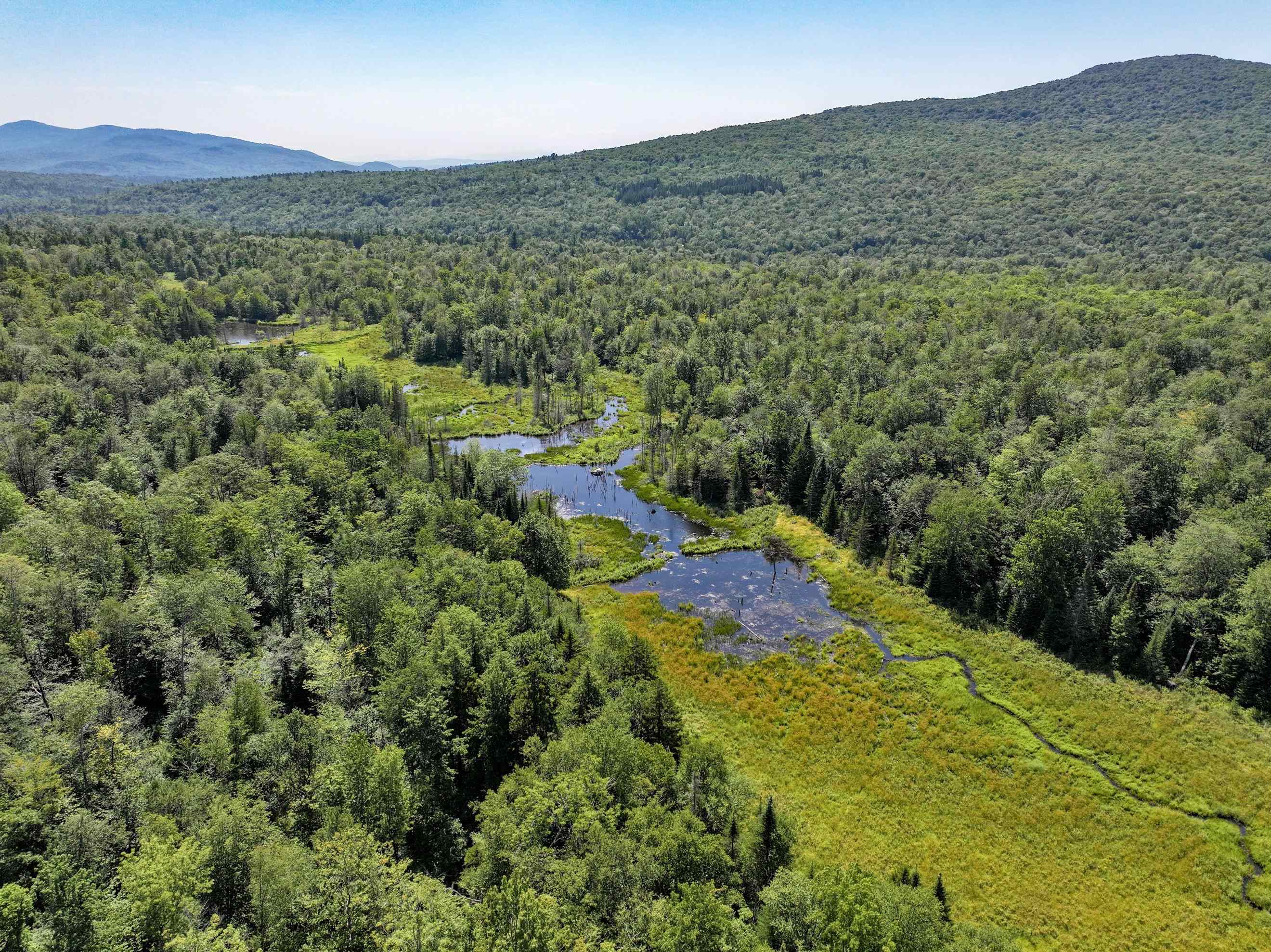 Lot 4 Lincoln Road Ripton, VT 05766 - Photo 5 of 20 Gallery Image 5
