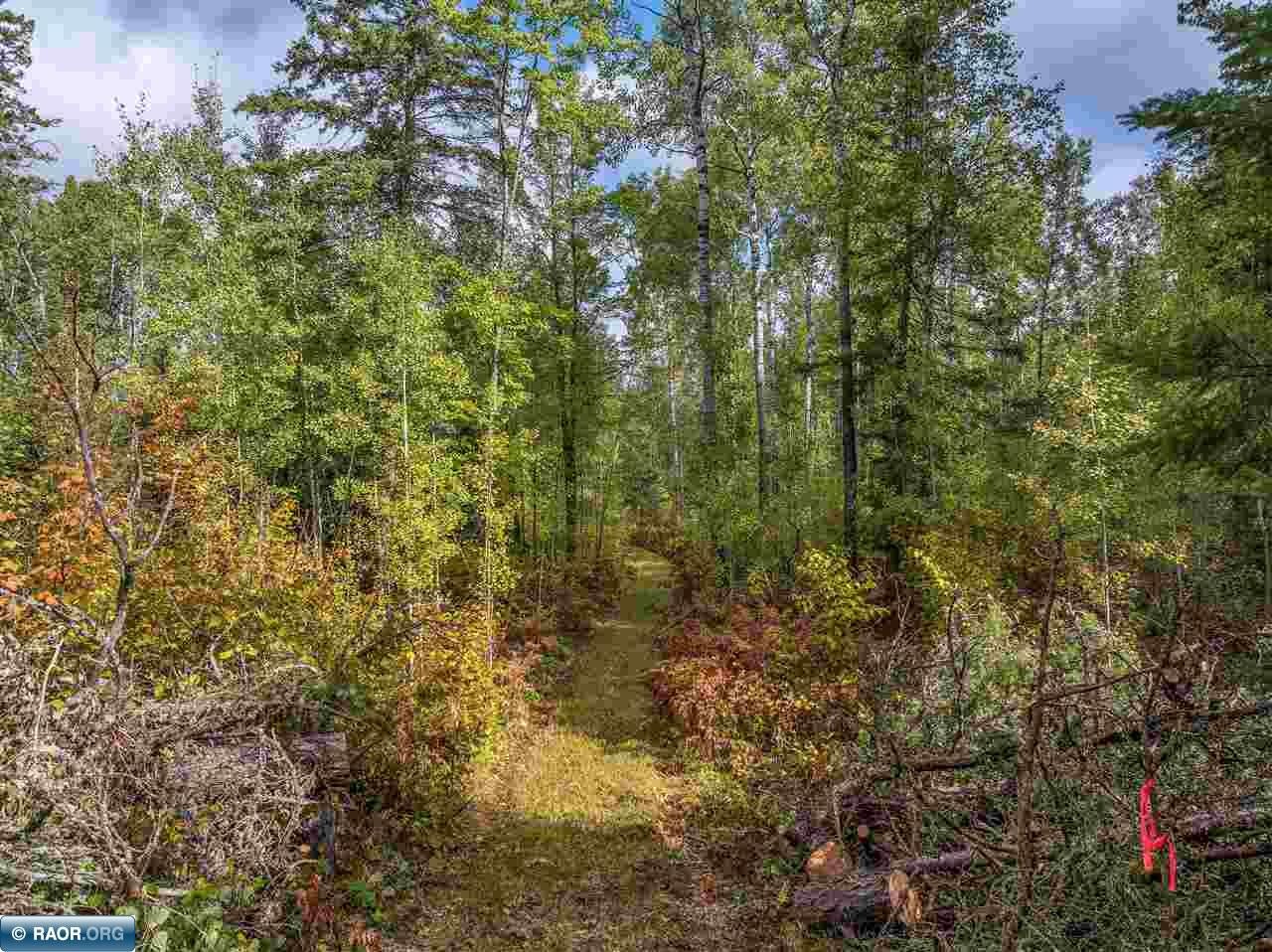 4965 Waisanen Road Embarrass, MN 55732 - Photo 31 of 35 Gallery Image 31