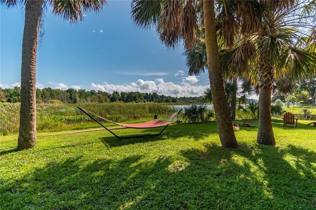 3 Southeast Ocale Way Summerfield, FL 34491 - Photo 52 of 59