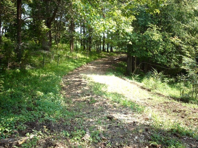 Ac Borders Road Smiths Grove, KY 42171 - Photo 4 of 14 Gallery Image 4