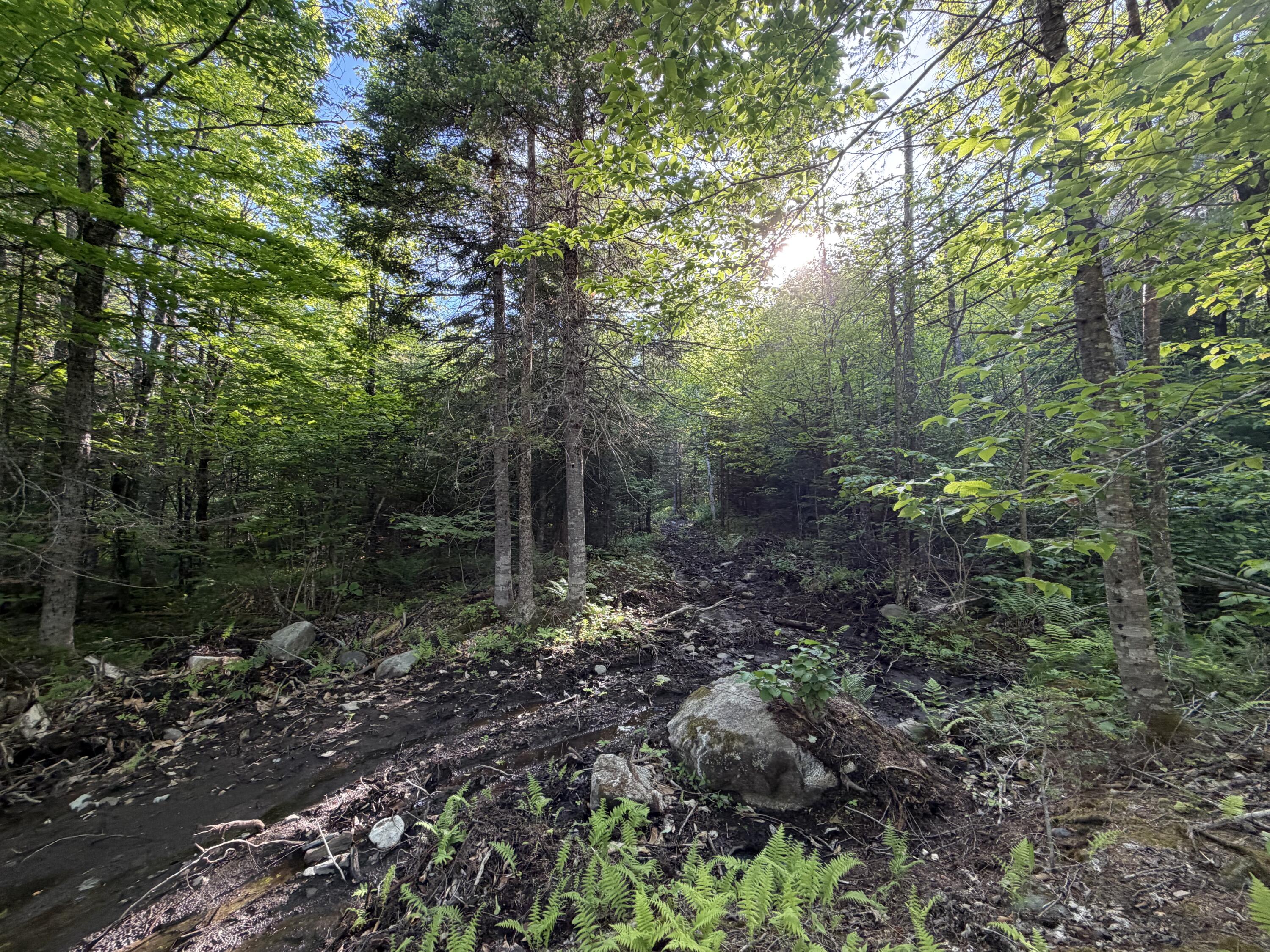 Lot 12-001 Off North Guilford Road Monson, ME 04464 - Photo 29 of 48
