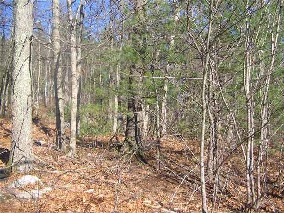 Lot 43 Back River Road Bedford, NH 03110 - Photo 1 of 3