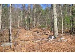 Lot 43 Back River Road Bedford, NH 03110 - Photo 2 of 3