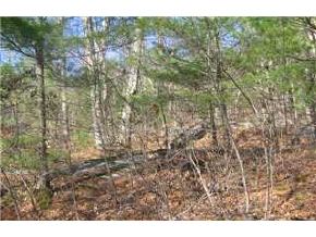 Lot 43 Back River Road Bedford, NH 03110 - Photo 3 of 3