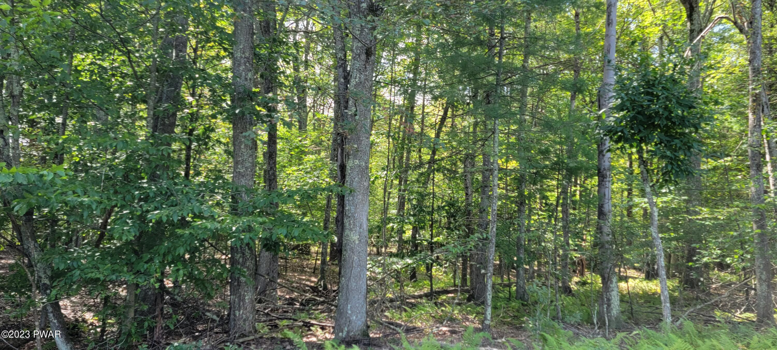 Lot #21 Mohn Road Narrowsburg, NY 12764 - Photo 4 of 9