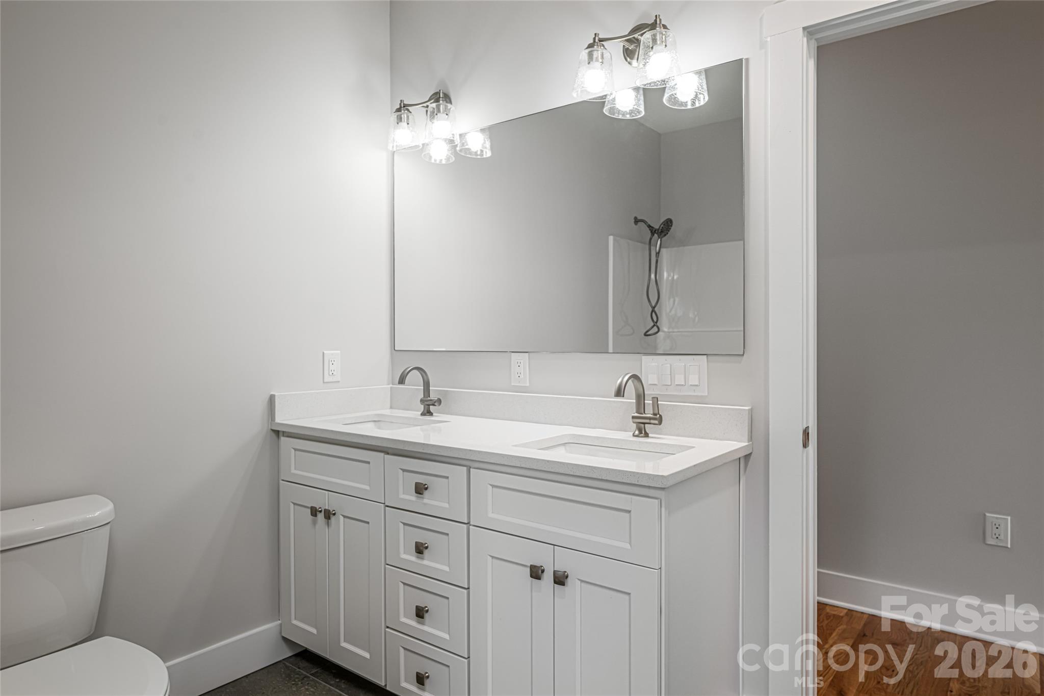 93 Locust Grove Road Weaverville, NC 28787 - Photo 20 of 26 a bathroom with a toilet a sink and mirror