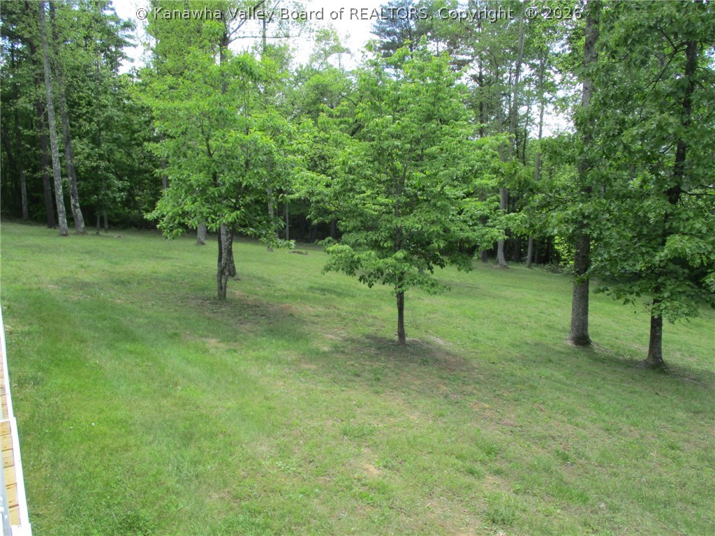 5202 Steele Ridge Road Red House, WV 25168 - Photo 17 of 19 Side Yard