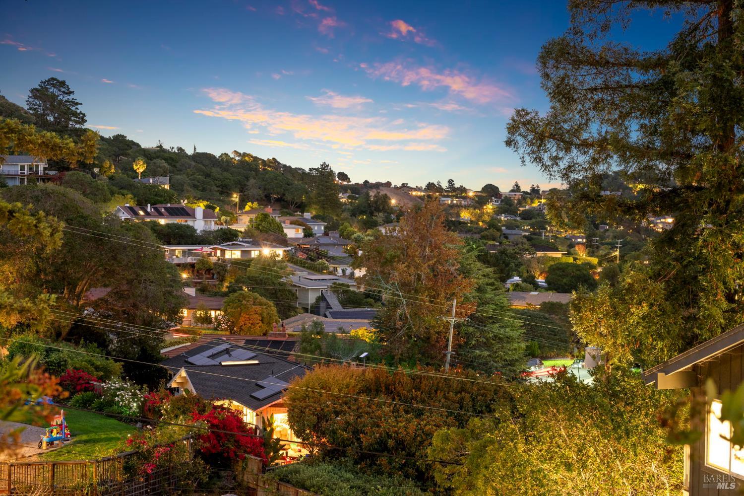 48 Junipero Serra Avenue San Rafael, CA 94901 - Photo 50 of 56