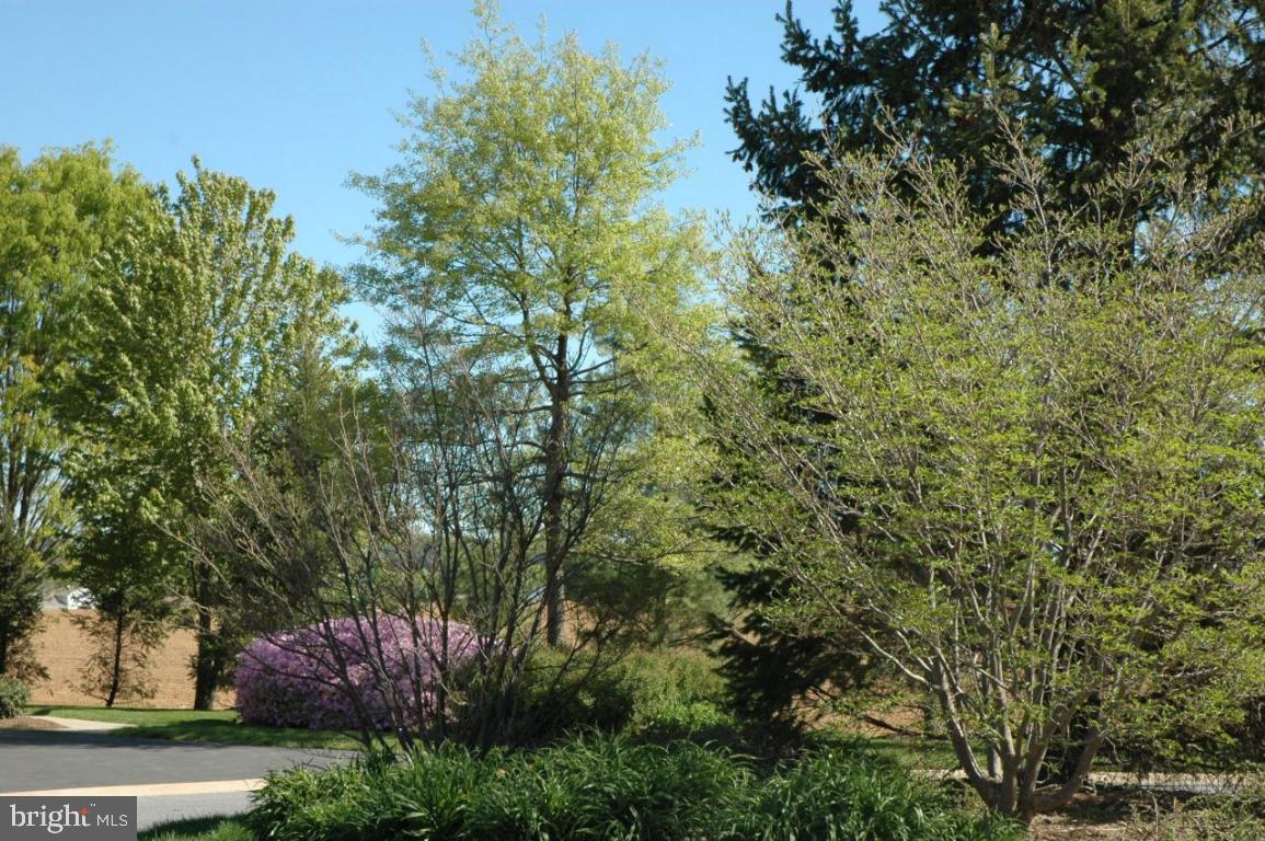 34 Farmview Lane Lititz, PA 17543 - Photo 13 of 13 Gallery Image 13